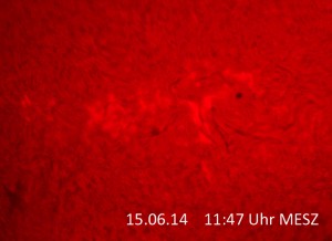 Fleckengruppe vom 15.06.14