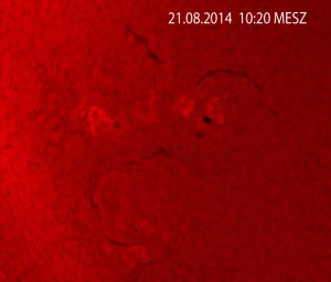 Fleckengruppe im H-alpha Licht