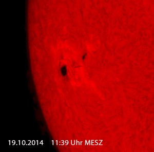 Große Fleckengruppe am Ostrand