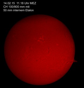 14.02.15 CH 100/800 mm Filamentspitze