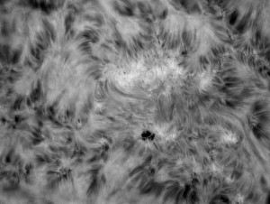 AR2393_4800mm