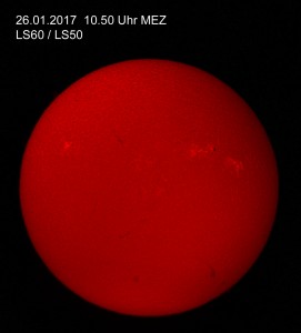Fleckengruppe am 26.01.2016