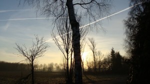 Zirren am 28.01.2017 um 9.00 Uhr